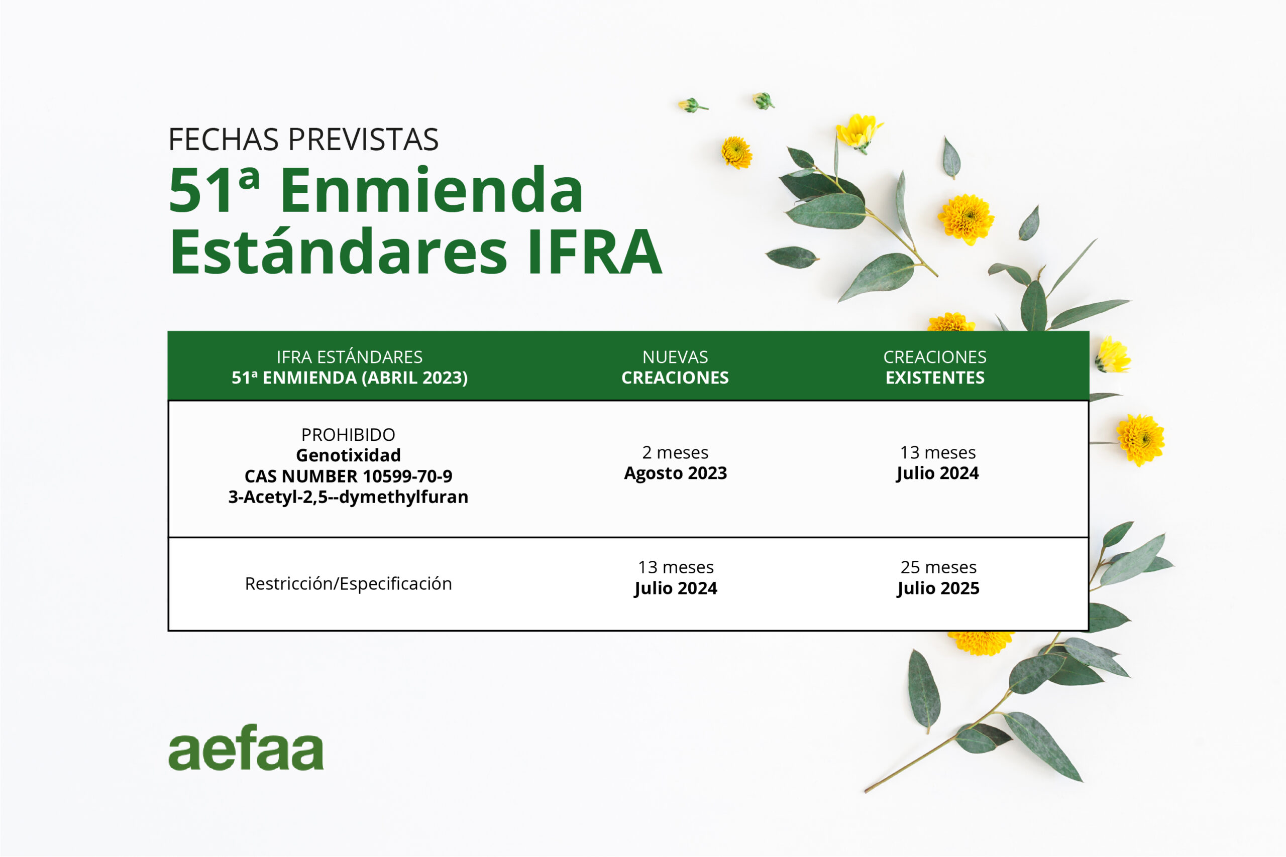 51_ENMIENDA_IFRA