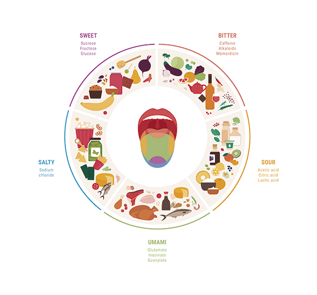 ¿Cómo interviene el sabor umami en la experiencia sensorial de los aromas alimentarios?