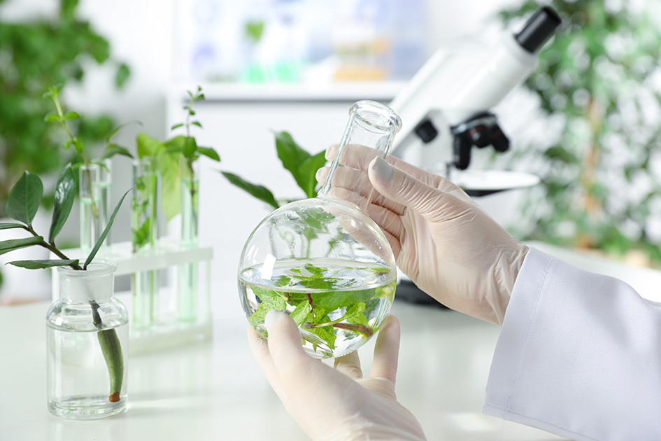 Nuevas clases de peligro bajo el Reglamento CLP: claves para la industria de fragancias y aromas