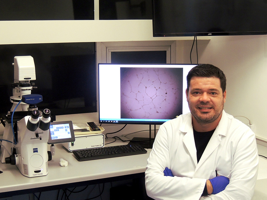 Un estudio pionero sobre el aceite esencial de limón revela su potencial para prevenir enfermedades neurodegenerativas. Foto Antonio Gonzalez Sarrias