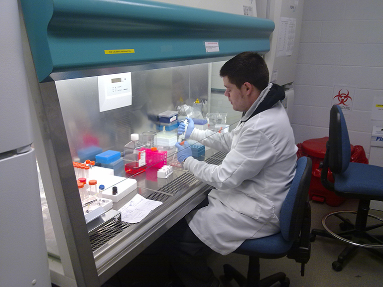 Un estudio pionero sobre el aceite esencial de limón revela su potencial para prevenir enfermedades neurodegenerativas. Foto Antonio Gonzalez Sarrias