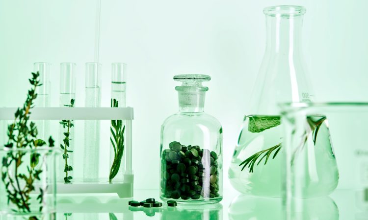 AEFAA, Ómnibus VI Europa