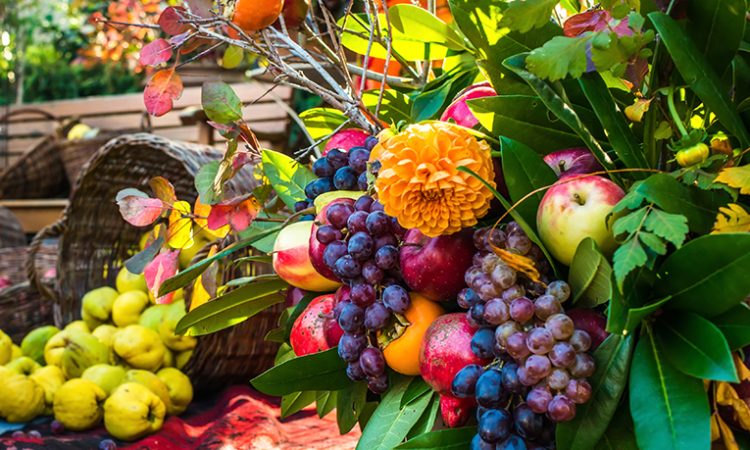 Bodegón de flores y frutas. Texto fragancias biodegradables