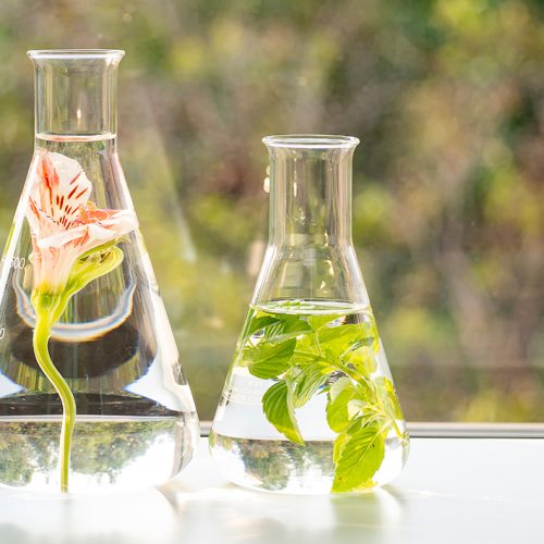 Nuevas clases de peligro bajo el Reglamento CLP: claves para la industria de fragancias y aromas
