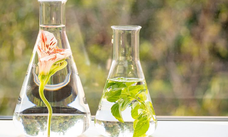 Nuevas clases de peligro bajo el Reglamento CLP: claves para la industria de fragancias y aromas