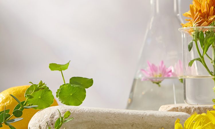 Ómnibus II: cambios que afectan a la industria cosmética y de fragancias