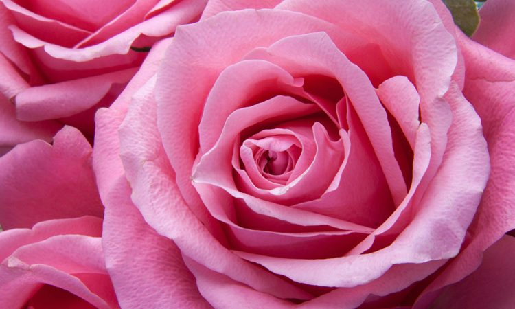 Nuevos cambios en el listado de alérgenos… preparados para julio de 2026